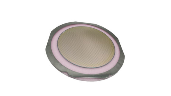 Mua Khung Wafer kim loại lắc lư Tương thích được sử dụng rộng rãi với Wafer Shipper online manufacture